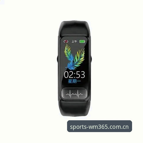 wm体育注册iOS版全面解析：从安装到同步数据的完整技术评测